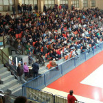 PalaPanzini, Pallacanestro Goldengas Senigallia