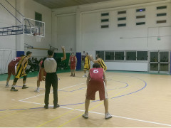 Roosters Senigallia - Adriatico Ancona