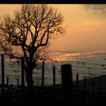 Foto Lorenzo Ceccarelli