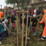 Festa dell' Albero Senigallia