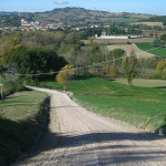 La strada in contrada Caselle, a Castelleone di Suasa, dopo i lavori di sistemazione