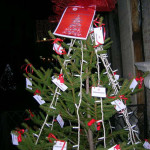 Alberi di Natale addobbati dalla CRI di Senigallia
