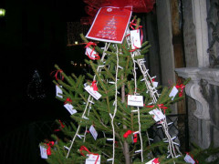 Alberi di Natale addobbati dalla CRI di Senigallia