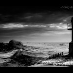 Foto Fabio Secchiaroli