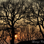 Foto Lorenzo Ceccarelli