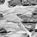 Opera di Ferruccio Ferroni