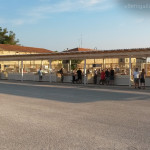 La pescheria al porto di Senigallia