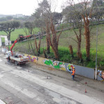 La potatura degli alberi in via Cellini, marzo 2016
