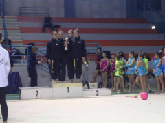 Polisportiva Senigallia