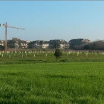 Parco della Cesanella