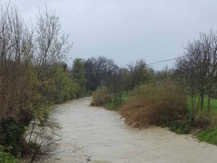 Il fiume Misa a Pianello di Ostra durante il maltempo del 23 marzo 2016