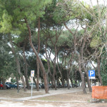 Area verde nei pressi della stazione