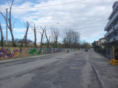 La potatura degli alberi in via Cellini