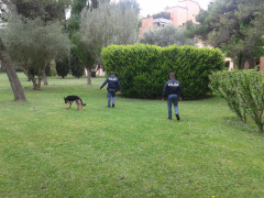 Controlli Polizia con unità cinofile