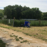 L'area archeologica Le Muracce in stato di abbandono