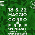 Corso erbe spontanee
