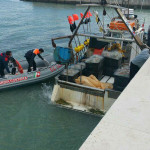 Le operazioni di recupero dopo il ritrovamento del cadavere nel mare antistante Senigallia