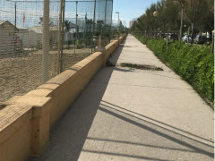 Fioriere danneggiate