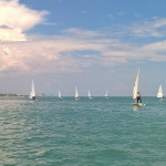5° regata del Campionato Zonale classe Laser - X Zona (Marche) a Porto San Giorgio