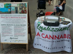Referendum cannabis