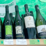 BiOltre Senigallia, vini biodinamici