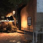 Rami spezzati: albero segato in via Carducci