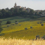 Il Comune di Barbara e il suo territorio nell'entroterra di Senigallia (Valmisa)