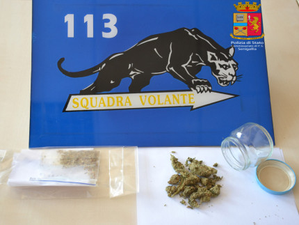 Il sequestro di marijuana effettuato al campus scolastico dalla Polizia di Senigallia
