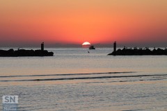 Una Foto al Giorno: Orietta Savelli