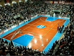 Palasport viale dei Partigiani, Pesaro