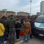 La curiosità di grandi e piccoli per le tartarughe marine al porto di Senigallia