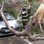Un intervento dei Vigili del fuoco per il forte vento che ha causato la caduta di un ramo su un'auto e sulla strada