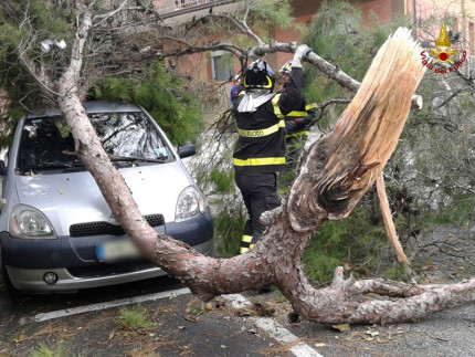 Un intervento dei Vigili del fuoco per il forte vento che ha causato la caduta di un ramo su un'auto e sulla strada
