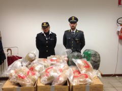 Sequestro Marijuana ancona