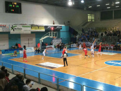 Goldengas - Bisceglie