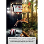 Un bel passo avanti: campagna LAV contro animali nei circhi