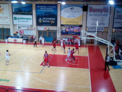 Pallacanestro Senigallia - Basket Taranto