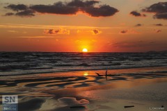 Una foto al giorno Lorenzo Ceccarelli