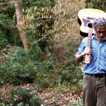 La copertina del disco di Niccolò Fabi "Una somma di piccole cose" (2016)