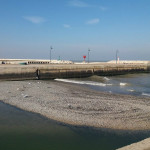 Senigallia, un isolotto di ghiaia spunta nel porto canale