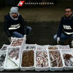 Guardia Costiera, sequestro prodotti ittici