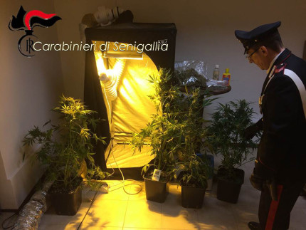 I materiali e la droga posta sotto sequestro dai Carabinieri di Senigallia