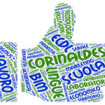 Istituto Corinaldesi, Open Day