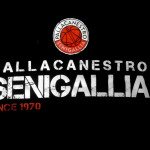 Simbolo della ASD Pallacanestro Senigallia