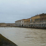 Fiume Misa 7 marzo 2017