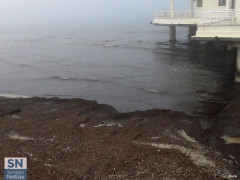 I detriti e rifiuti depositati sulla spiaggia di Senigallia