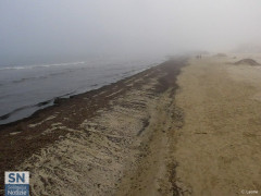I detriti e rifiuti depositati sulla spiaggia di Senigallia
