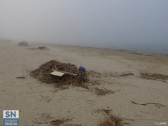 I detriti e rifiuti depositati sulla spiaggia di Senigallia