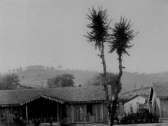 “Carissimi Primo, Anne ed Elie", copertina