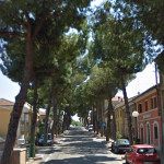 Il viale E. Paci a Monterado di Trecastelli